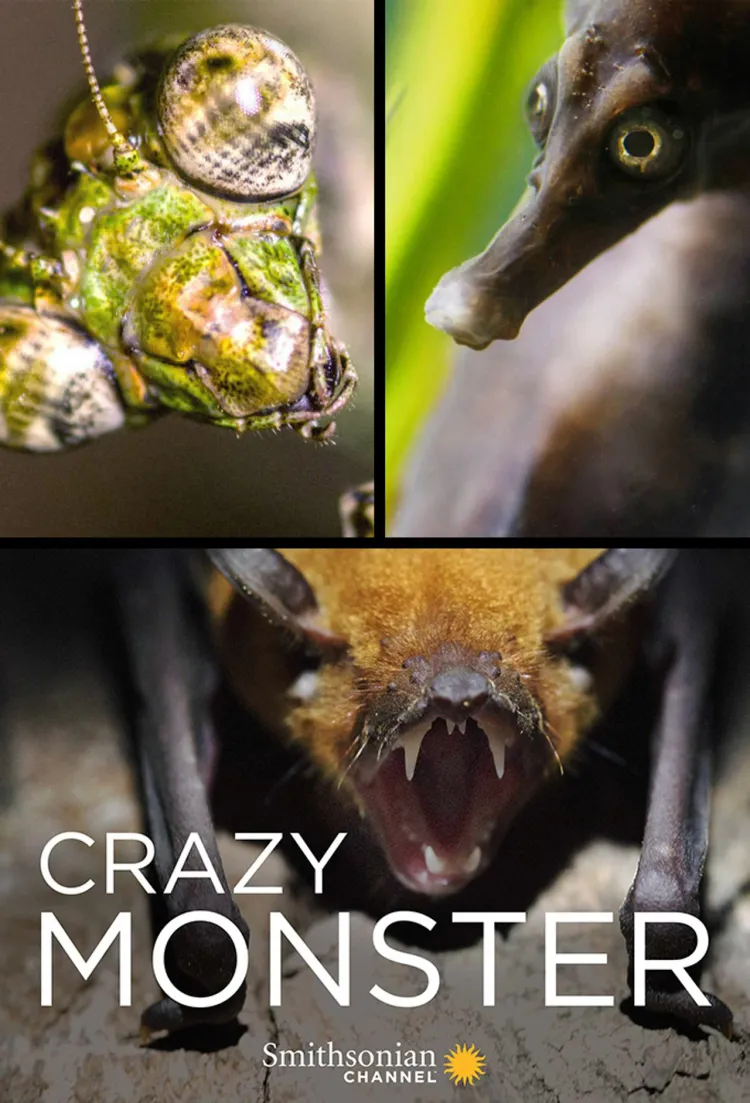 Quái Vật Điên Rồ | Crazy Monster (2017)